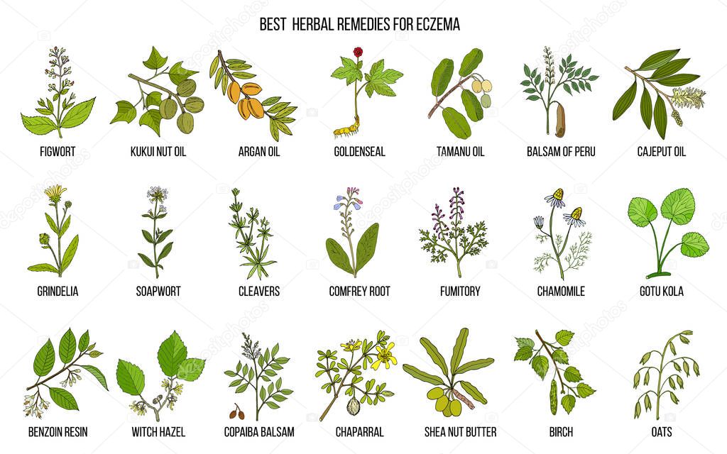 Best medicinal herbs for eczema.