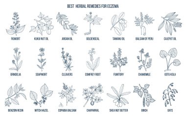 Best medicinal herbs for eczema. clipart