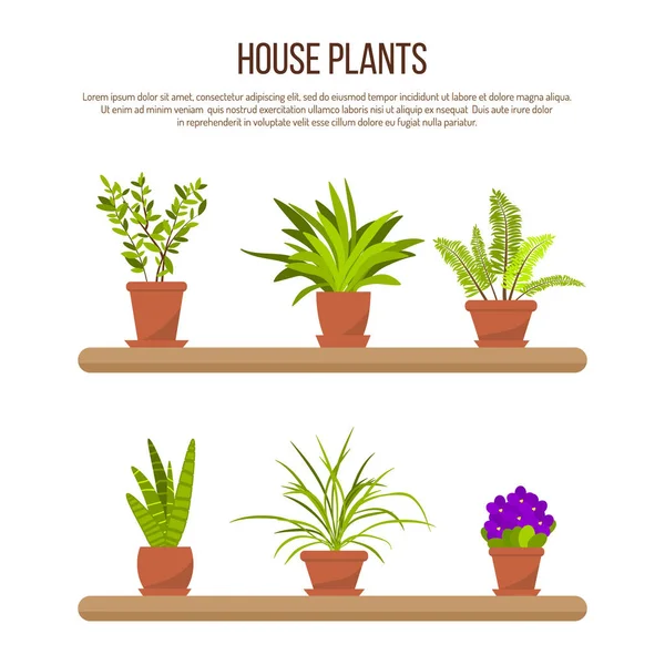 Collection of indoor house plants and flowers in pots — Stock Vector