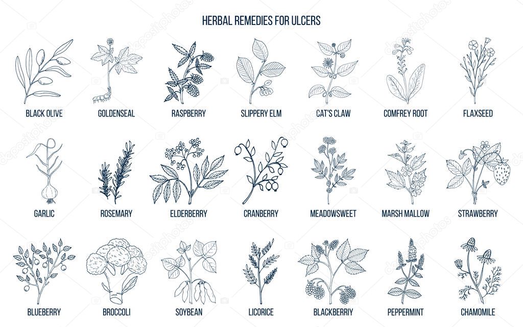 Best medicinal herbs for ulcers