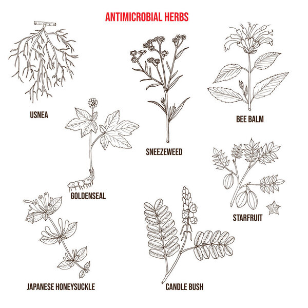 Набор противомикробных трав
