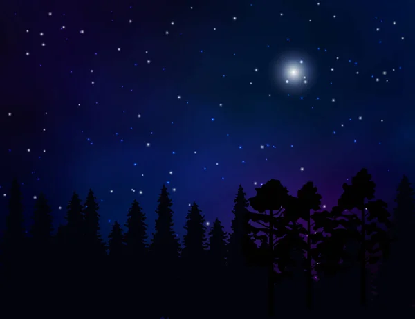 Paisaje forestal y cielo nocturno estrellado — Vector de stock