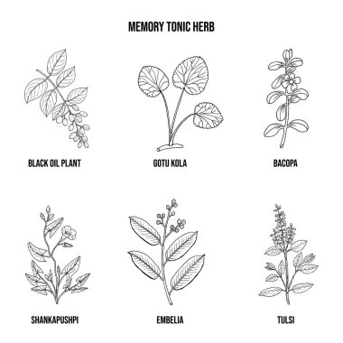 Hafıza toniği koleksiyonu