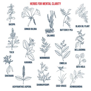 Best herbs for mental clarity clipart