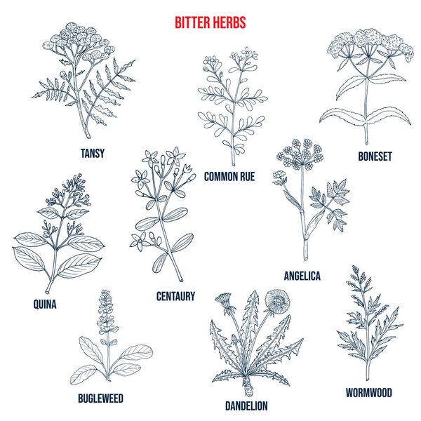 Горькая коллекция трав
