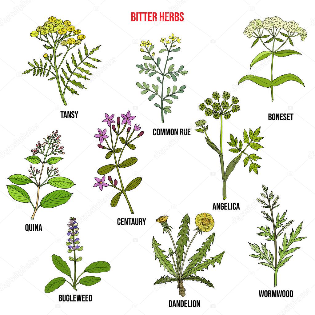 Bitter herbs collection