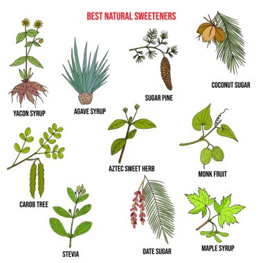 Best natural sweeteners clipart