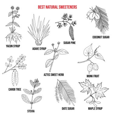 Best natural sweeteners clipart