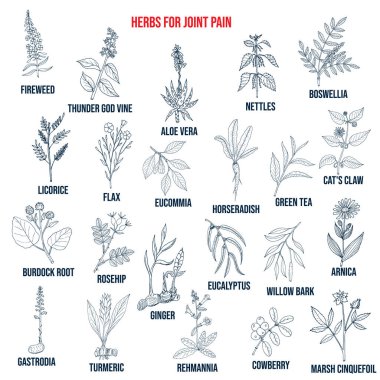 Eklem ağrısı için en iyi otlar.