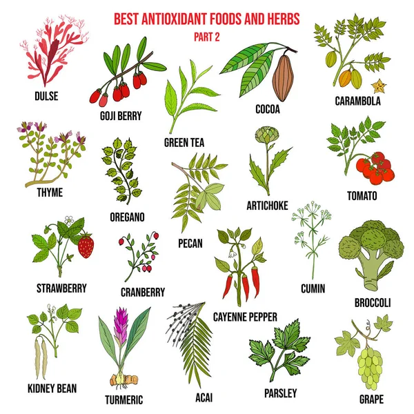 Aliments antioxydants et herbes — Image vectorielle