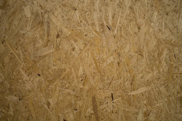 Konsistens Plywood Närbild — Stockfoto