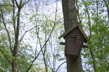 Ağaç ahşap Besleyici