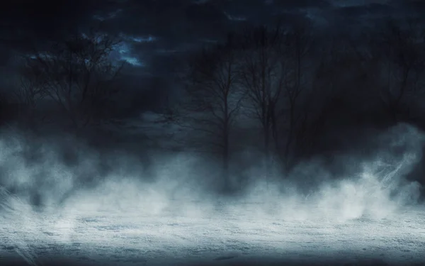 Donkere Winter Bos Achtergrond Nachts Silhouetten Van Bomen Een Achtergrond — Stockfoto