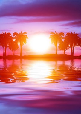 Palmiye ağaçları ve denizle tropik günbatımı. Plajda, gökyüzünde bulutlu palmiye ağaçlarının siluetleri. Suyun üzerindeki palmiye ağaçlarının yansıması..