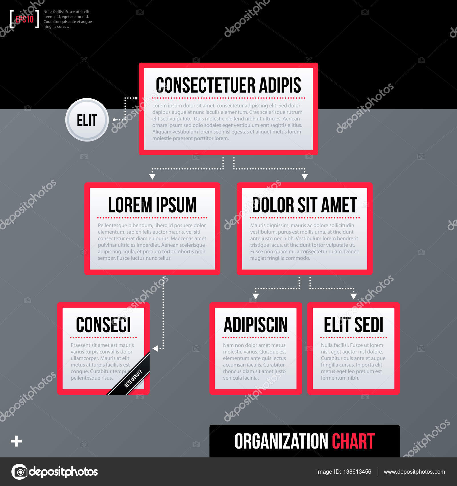 Mall Organizational Chart