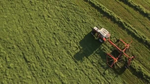 Aérea de Tractor recoge heno en el campo en una línea verde día soleado en las montañas en 4K — Vídeos de Stock