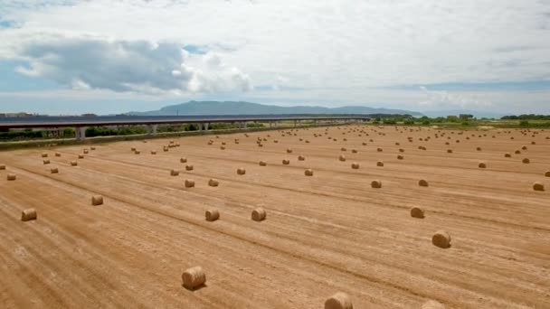 Antenne Vlucht Velden Daarna Snelweg Luchtfoto Met Achtergrond Van Blauwe — Stockvideo