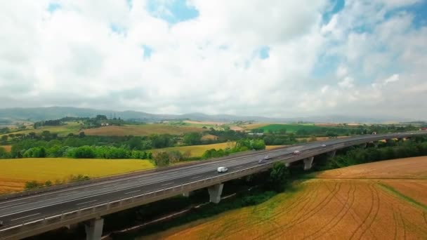 Vista Aérea Los Vehículos Conducción Por Carretera Entre Hierba Amarilla — Vídeo de stock