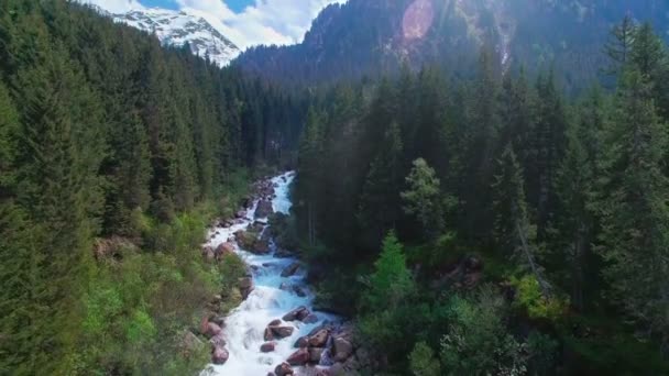 Vista Panorámica Aérea Río Bosque Pinos Las Montañas Austria — Vídeo de stock