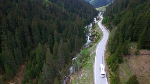 오스트리아에서 소나무 사이의 지역에서도로 화이트 버스를 운전의 — 비디오