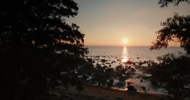 Luchtfoto Van Klimmen Omgeving Van Bomen Met Uitzicht Zee Bij — Stockvideo