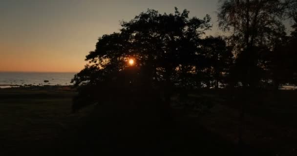 夕阳的鸟瞰与橙色的太阳在海通过树木在夏季 — 图库视频影像