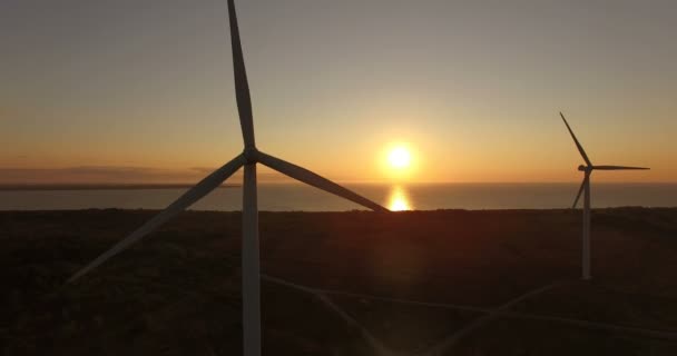 Luchtfoto Voor Windgenerators Avondlucht Het Veld Windmolens Draaien Van Schoepen — Stockvideo