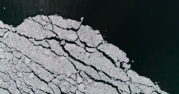 Letecký Pohled Ledu Moři Slunečním Světlem Balení — Stock video