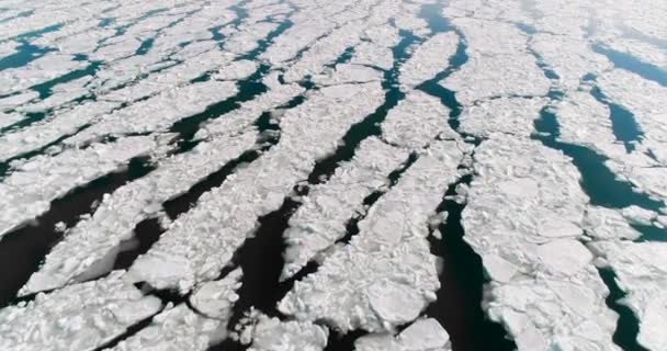 Flygfoto Över Isen Havet Med Solljus Pack — Stockvideo