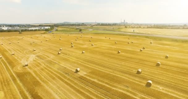 田舎の干し草の俵とトリミング麦畑の眺め 晴れた日に貨物の運転で高速道路の表示 — ストック動画