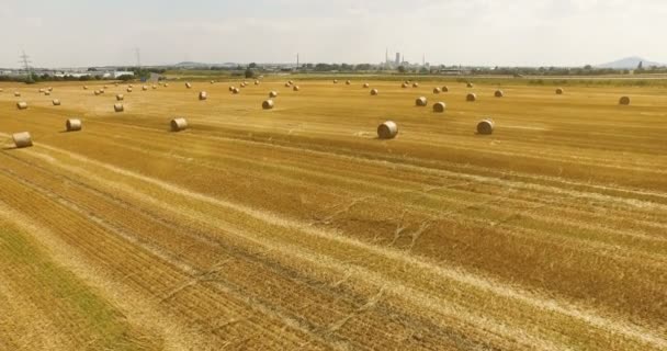 田舎の干し草の俵とトリミング麦畑の眺め 晴れた日に貨物の運転で高速道路の表示 — ストック動画
