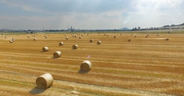 农村种植的干草包的麦田的鸟瞰图 在阳光明媚的日子里驾驶 Lorryes 的公路景观 — 图库视频影像