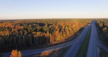 Anteni bir karayolu trafik karışık sert boyunca ile panoramik ve kozalaklı orman gün batımında