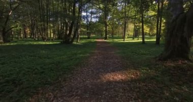 Yapraklı park boyunca yürürken tarafından trailway. Yeşil otlar, ağaçlar ve güneş batımında çevresinde.