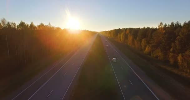 日落时沿混合硬木和针叶林行驶的公路空中全景 — 图库视频影像