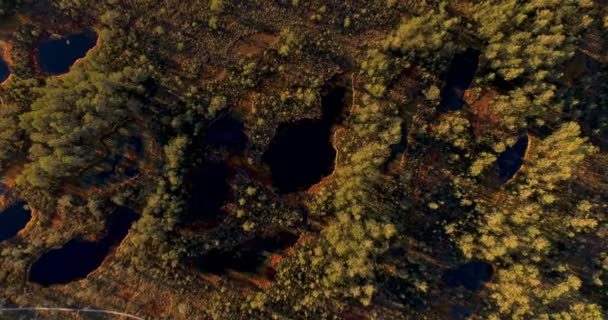 風光明媚な湿地や太陽から長い影春の夕暮れの湖の上から空撮 — ストック動画