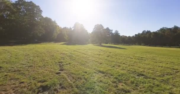 Piękny Park Zielonej Trawy Drzew Słoneczny Letni Dzień — Wideo stockowe