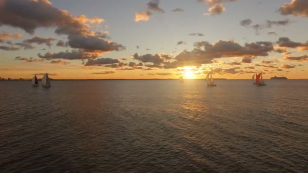 Luchtfoto Van Jachten Met Zeilen Zee Met Een Mooi Uitzicht — Stockvideo