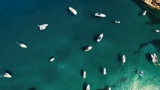 Top Luchtfoto Van Zeilboot Jachten Geparkeerd Wilde Harbor Buurt Van — Stockvideo