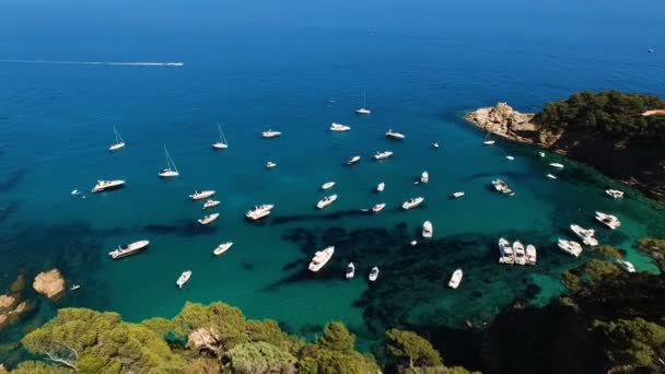 野生の港のスペイン カタロニアの海岸近くに駐機している帆船やヨットの航空写真 — ストック動画