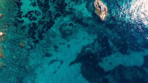 Vista Aerea Superiore Pescatore Subacqueo Caccia Pesci Nel Mar Mediterraneo — Video Stock