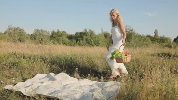 Uma Mulher Carrega Comida Cesto Coloca Cobertor Natureza Pôr Sol — Vídeo de Stock