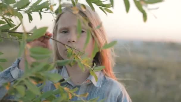 Little Girl Sad Face Looks Branches Leafy Tree Close Slow — Stock Video