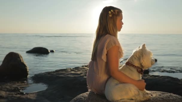 犬との悲しい少女は海の海岸の石の上に座って 夕日を見てします スローモーション — ストック動画