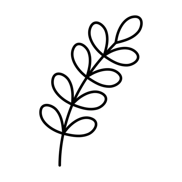 Větev listy podzim na bílém pozadí tlustá čára — Stockový vektor
