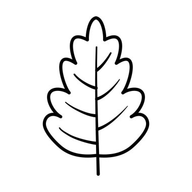 Beyaz arka planda sonbahar yaprağı yeşilliği kalın çizgi üzerinde