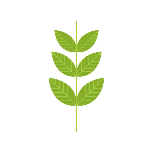 Растение оставляет икону — стоковый вектор