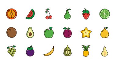 Taze besin hasadı meyve ikonları