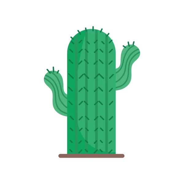 Cactus ökenväxt på vit bakgrund — Stock vektor