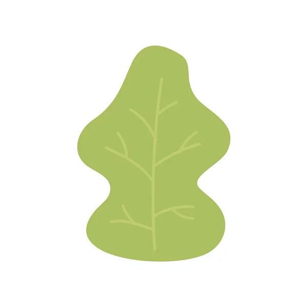 Autumnal green leaf foliage nature icon — Διανυσματικό Αρχείο